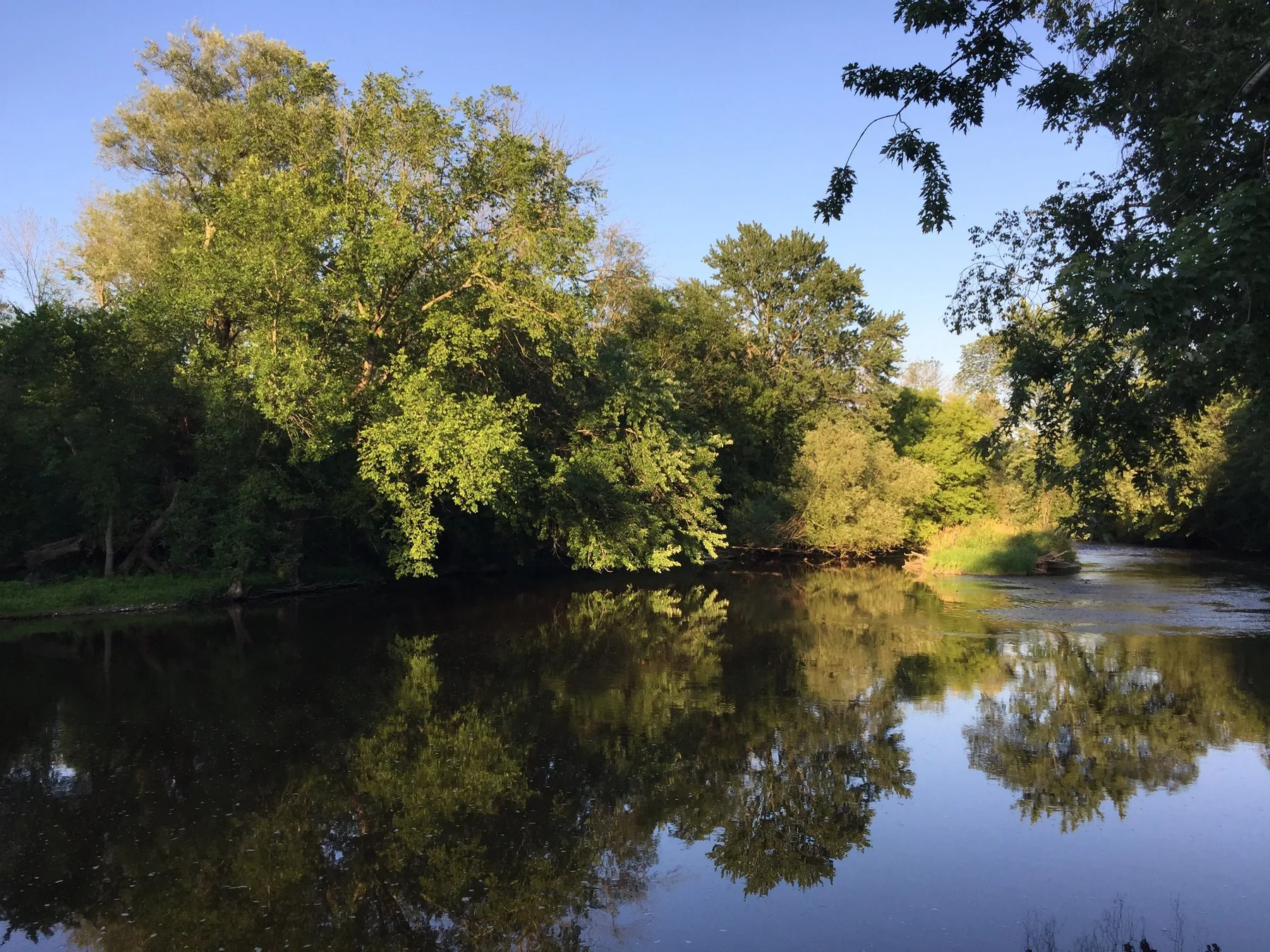 Milwaukee River at River Park